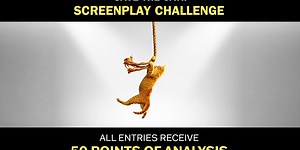 Save the Cat! Screenplay Challenge Grounds Writers in Structure, Not Subjective Opinion