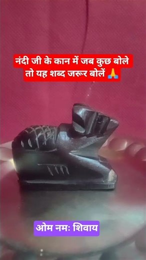 नंदी के कान में जब कुछ बोले तो यह शब्द जरूर बोलें। #panditpradeepmishrasirowale #upay 🙏💯💯💯