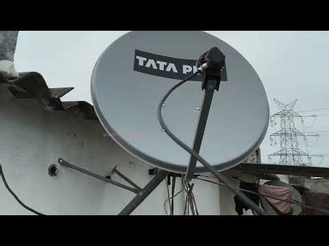 Free dish signal setting