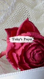 #biblestudy #bibleverse #biblequotes #biblescripture #bibleverseoftheday | Daily Devotional