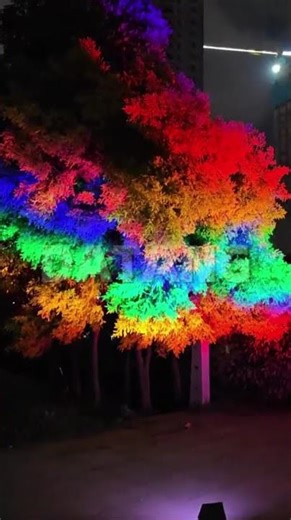 Colorful Tree Landscape Lighting Transforms Outdoor Night Scenery