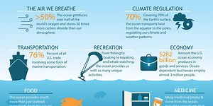 Breakdown: Why our oceans are important
