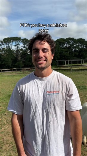 Understanding Miniature Ponies and Their Costs