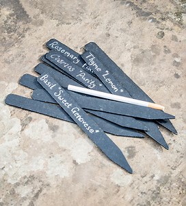 Blackboard Labels and Pencil