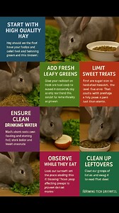 2K views | Rabbit Feeding #feeding #Rabbit101 #rabbitdiet | Farming Tech& Business | Facebook