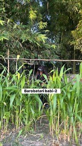 Barobatari babi-2 😂 #relatable #babhi #comedy | Aijul khan