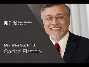 Seminar: Mriganka Sur, "Cortical Plasticity"