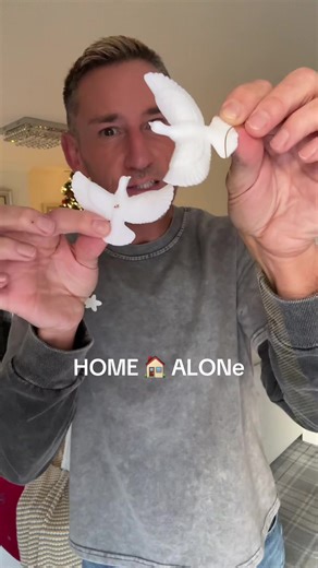 Two turtle doves like the film 🏡 ALONe #TurtleDoves #ChristmasDecor #christmasgift #Friends #Tiktokmademebuyit