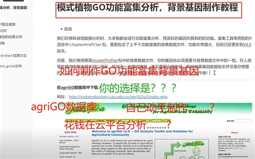 如何制作GO功能富集背景基因文件（一）