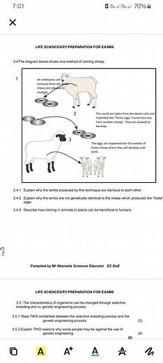 3.4 The diagram below shows one method of cloning sheep.3.4.1... | Filo