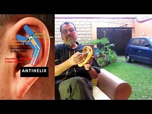 Dr. Raúl Vargas: Curso de Auriculoterapia 7. Antihelix