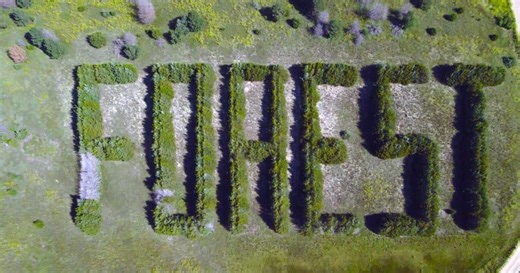Written in Trees