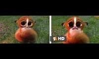 Mix of 2 videos from youtube : Mort Crying From Madagascar