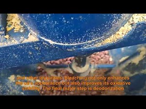 Sunflower oil refining equipment process flow and principle