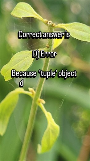 what is the output of this python program? #python #coding #programming #pythoncoding