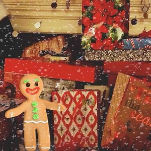 Merry Christmas to all our amazing users! We thank you for all your support!! Have a wonderful holiday! #lifecameraaction #happyholidays #filmmaking #merrychristmas | iOgrapher