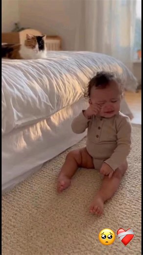 183K views · 6.6K reactions | The Moment the Cat Realized the Baby Was Crying for Her | Endless Awws | Facebook