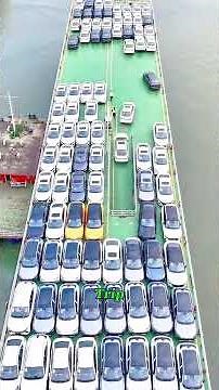 The Ship Even PIRATES Avoid 😳🚢 | The Untouchable Ro-Ro Giant!