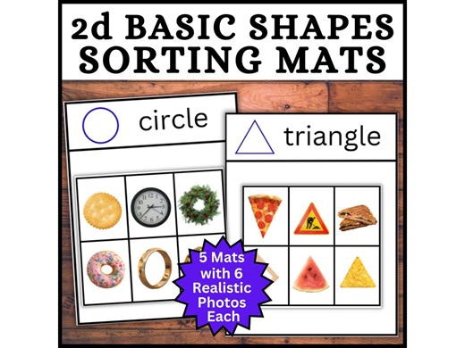 2d Shapes Sorting Mats Activity, Sort 5 Shapes With 60 Real Photos! Geometry Worksheets, Autism Printable, Preschool Kindergarten Center - Etsy