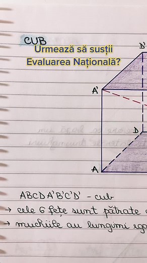 feliademate pe TikTok