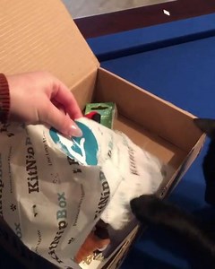 6.5K views · 1.5K reactions | New cat treats and toys delivered to your door every month. All you have to do is sign up 珞 Thank you @lifeofabub for sharing Monty's unboxing! | KitNipBox | Facebook