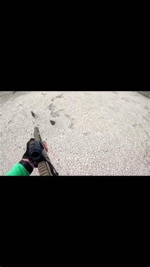 Benelli M4 aerial shooting invasive pests #aerial shooting # feralhogs