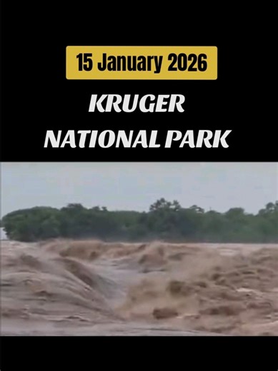 Flooding Disrupts Kruger National Park Operations
