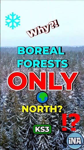 Why Boreal Forests Only Exist in the North ❄️ #shorts