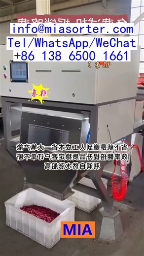 AI Color Sorter Turnkey Production Line with Spare Parts Supply China