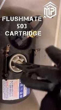 How to Install a New Flushmate 503 Series Cartridge and Stop Toilet Leaks
