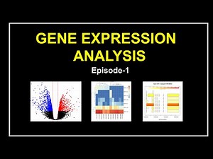 How I analyze RNA Seq data using HISAT2 , SAMTOOLS , STRINGTIE BALLGOWN & R
