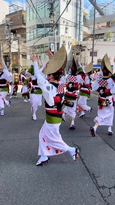 The 43rd Futako Tamagawa Hanamizuki Festival, held on Tuesday, April 29, 2025 (national holiday), is an annual spring event held throughout the town of Futako Tamagawa, with the main venue being Hyogojima Park in Setagaya Ward, Tokyo. With the catchphrase "Futako Tamagawa, a town of sun, greenery and water," the theme is attractive and unique town development aiming for the SDGs. #festival #festivalseason #onlyinjapan #spring #Amazing #beautyfull #visitjapan #japan #japanphoto #japanlife #Japant