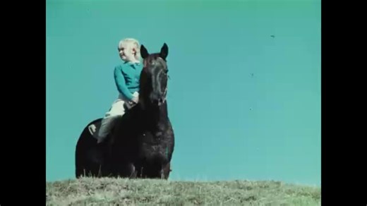 ビートルズの影響は日本のCM曲にまで表れている。40〜50代の昭和世代の男性なら分かるであろうこの「ミユキ野球教室」のCM曲はビートルズのI'm So Tiredとコード進行が同じらしい。確かに雰囲気似てる。この曲なんかちょっと怖い笑 当時聴いた人も怖かったみたいだね笑 ミーユキミユキ笑 #Beatles #theBeatles #ロック #Rock #ロックンロール #rockmusic #ロックバンド #音楽#音楽好き#コード進行#コード進行同じ#ビートルズコード進行#ミユキ野球教室 #ミユキ野球教CM #ミユキ野球教室の日 #センスオブワンダー#音楽紹介 #音楽紹介おすすめ #音楽おすすめ #音楽#おすすめ曲 #おすすめ曲#おすすめ#曲 #洋楽#洋ロック#ロック#Rock