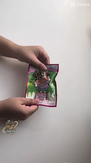 Unboxing Puppy in My Pocket Collection