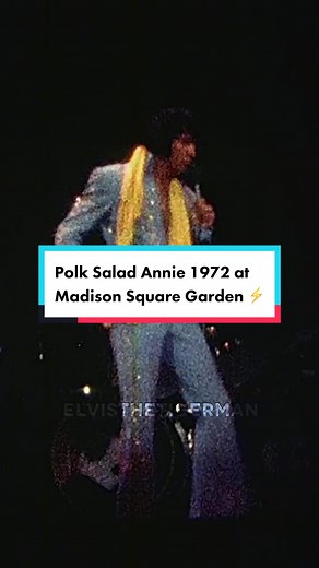 Elvis Polk Salad Annie 1972 Live at Madison Square Garden ⚡️ #elvispresley #elvis #austinbutler #elvismovie #madisonsquaregarden #1972 #tcb
