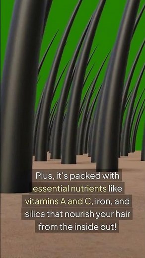 How Stinging Nettle Root Works for Hair Loss Prevention