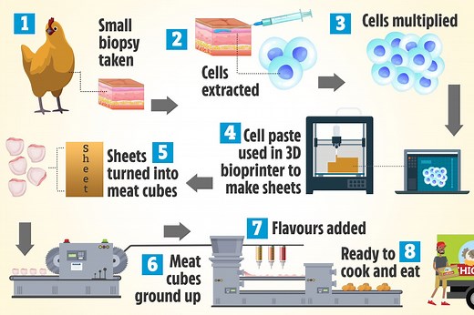 KFC is 3D printing chicken meat using 'animal flesh cells' at Russian lab