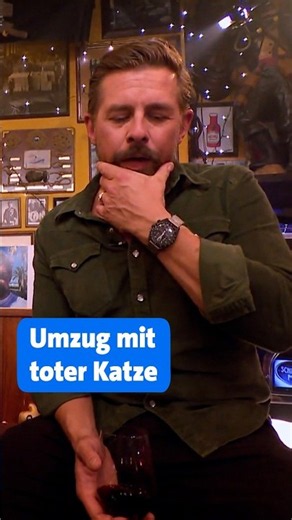 Tote Katze aus- und wieder eingraben? 👀🐈‍⬛