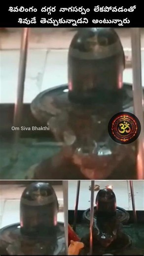 శివలింగంలో నాగసర్పం ఉంది #shiva #god #om #devotional #mahadev #hindudeity #snake