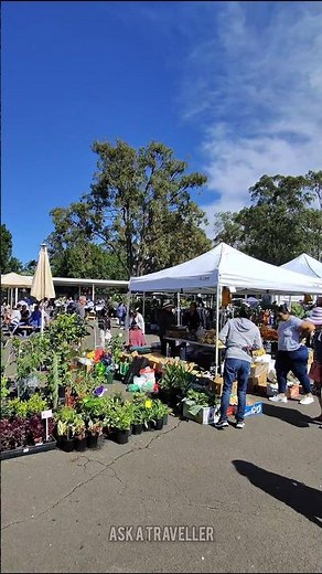 Fairfield Market Quick Tour #market #sydneymarkets #fleamarket