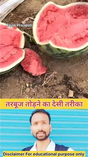 watermelon 🍉 "BUILDING WOODEN LOG CABIN In Forest 🌳🔥 Survival House STEP BY STEP" PART 13