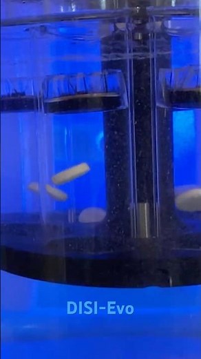 DISI-Evo OSD Disintegration Tester in Action