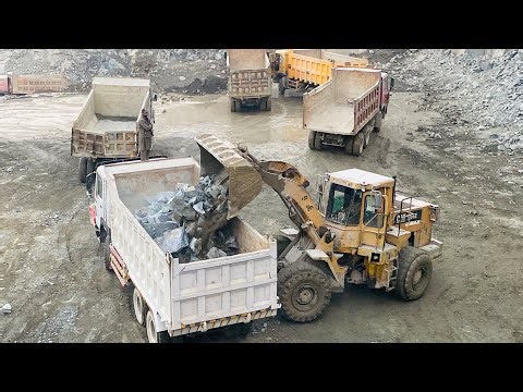Heavy Machinery at Work – Caterpillar Lifts Huge Stone! 💯🔥