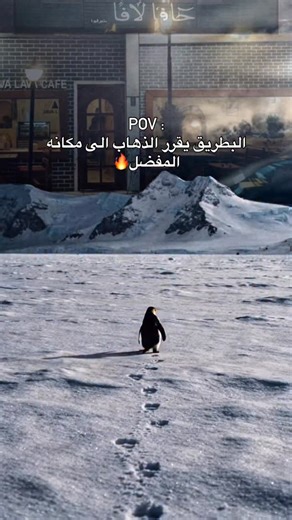 ‎🇮🇶 JAVA LAVA CAFE - جافا لافا كافيه‎ on Instagram‎: "اذهب الى مكانك المفضل دائما بعيداً عن ضجيج الحياة 🔥🩵"‎