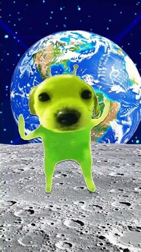 im not that innocent #memes #aliendog #alien #aliendancememe #dog #dogshorts #green #funny