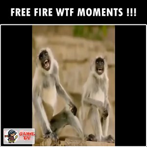 36K views · 1.7K reactions | FREE FIRE WTF MOMENTS !!! #GameTV #FreeFire | ASMR Oasis | Facebook