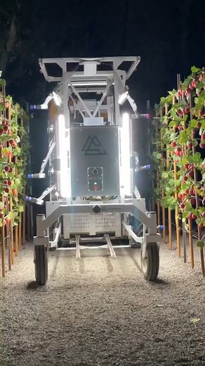 CTO ROBOTICS Media on Instagram: "Revolutionizing Apple Harvesting: The Future of Farming with Robotic Technology! 🍏 I share this content because I like it. It does not contain any sponsored deals, advertising or commercial purposes. All rights belong to the relevant brand. If you request removal of the post, you can contact us. Seen : Linkedln - Florian Palatini (item) Video Credit : Linkedln - advanced.farm #robotics #robots #robot #robotica #cobot #automation #ai #manufacturing #innovation #