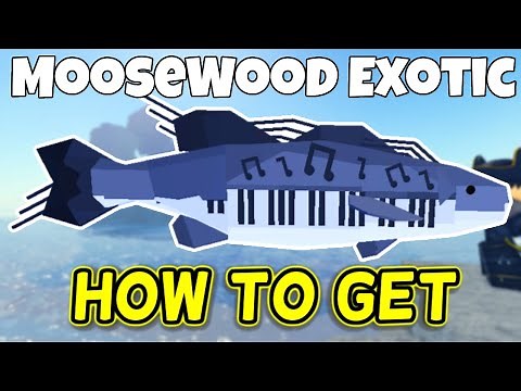 How To Get New MOOSEWOOD EXOTIC In Fisch | Roblox Fisch