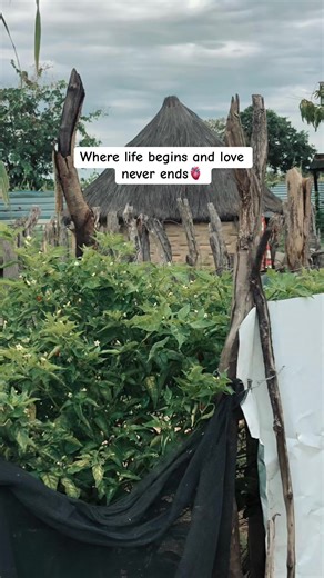 Someone take me home 🥹🏡❤️