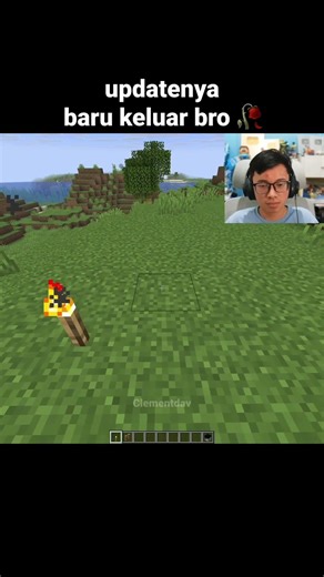 Momen Bayi Ayam Minecraft